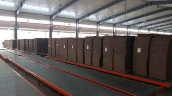 新一代電腦薄刀縱切壓痕機(jī)受紙箱廠追捧,業(yè)內(nèi)名企頻點(diǎn)贊