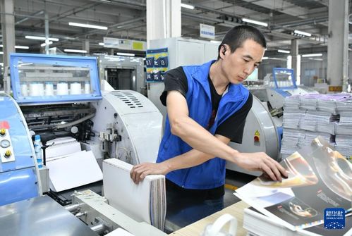 奮進(jìn)強(qiáng)國(guó)路 闊步新征程丨河北肅寧 協(xié)同發(fā)展助推圖書印刷產(chǎn)業(yè)壯大